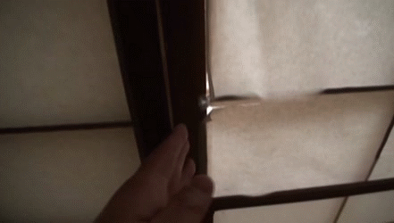 【合法ロリGIF】これが近親相姦ファミリー!?親兄弟のチンポしゃぶって起こす少女wwwww その10