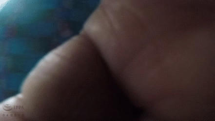 【エロGIF】バスで痴漢被害に遭った小学生女児にさらなる仕打ち…公園で泣いてるところを襲われるセカンドレイプ その2